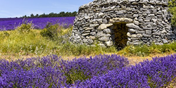 Provence Travel Diaries: Hidden Gems and Local Delights - Sustainable Tourism Practices in Provence