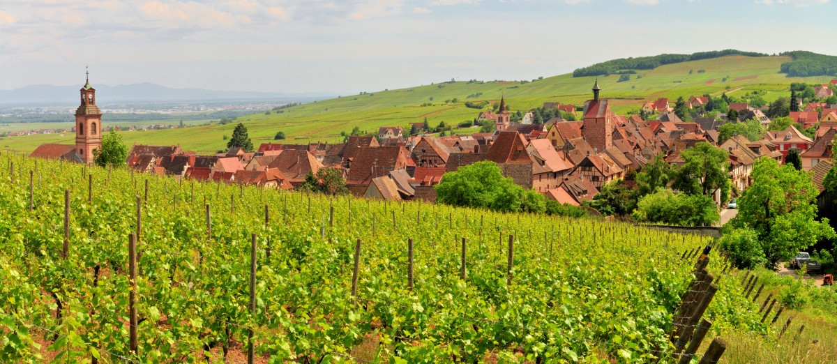 tour of champagne region