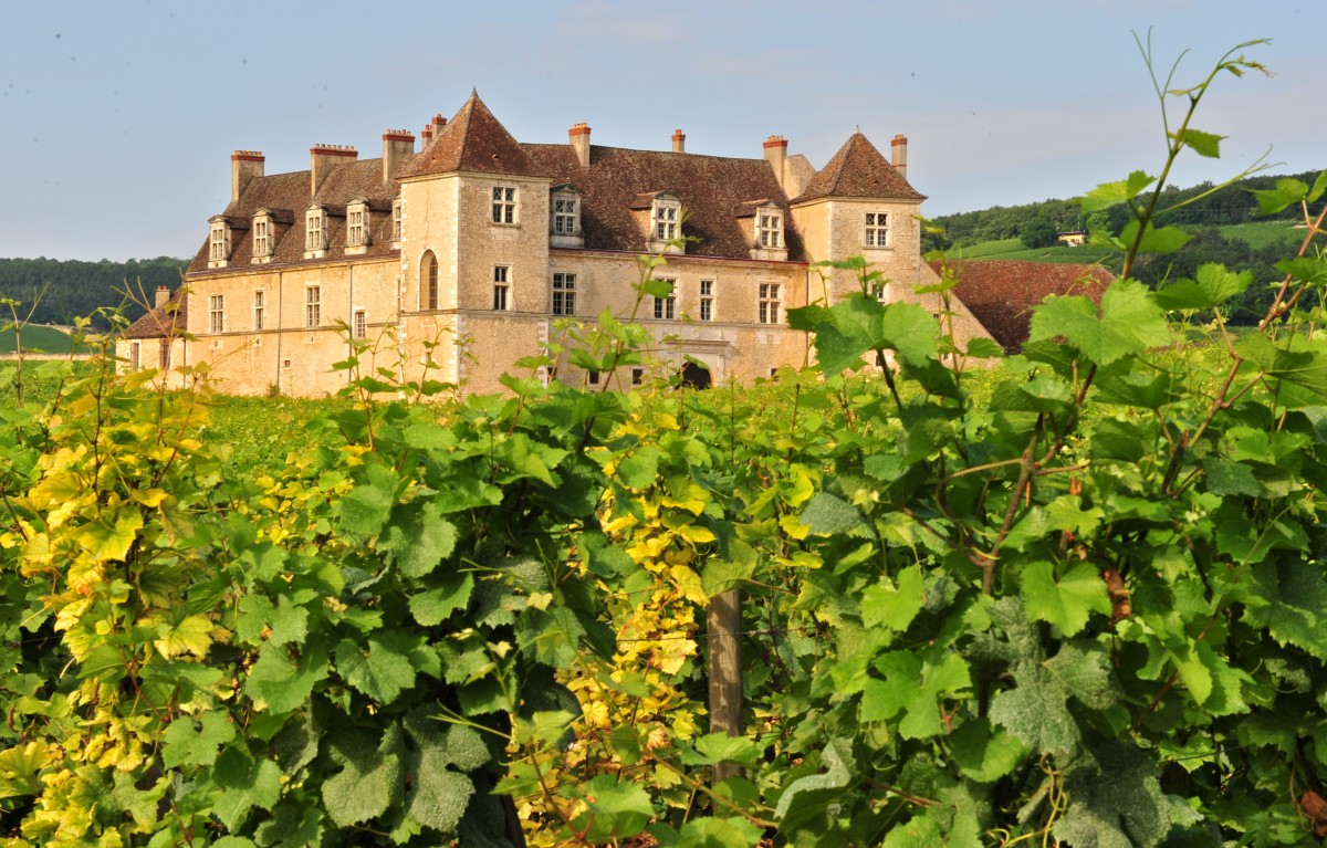 wine tour of france