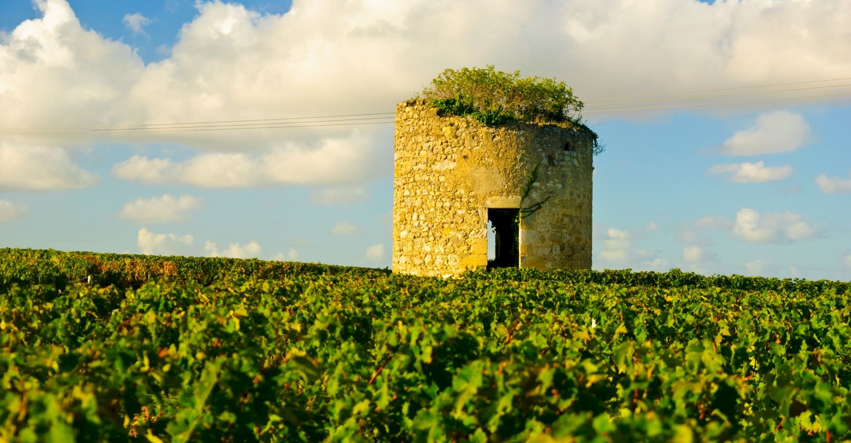 Ophorus Tours - Pauillac