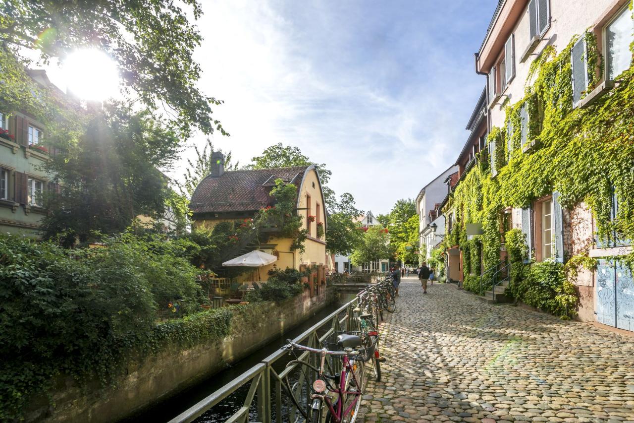 Ophorus Tours - Alsace to Black Forest: Private Transfer Strasbourg - Freiburg