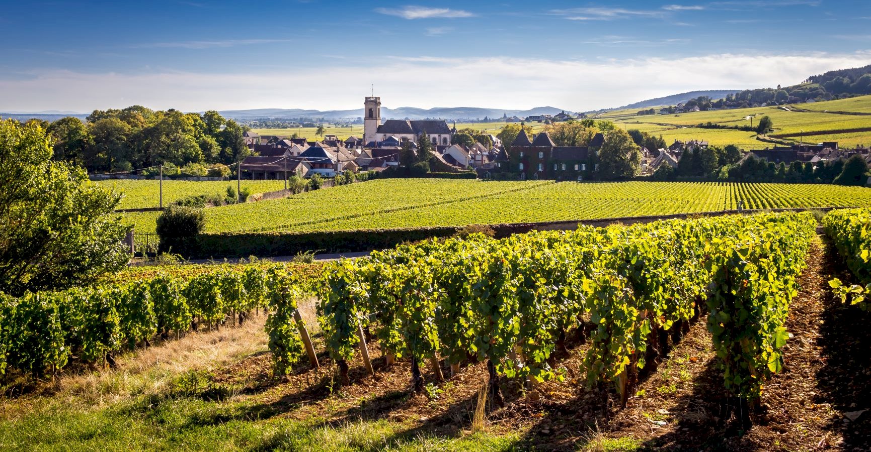 Ophorus Tours - Dijon Wine Tours: Côte de Beaune Half-day Small Group Experience