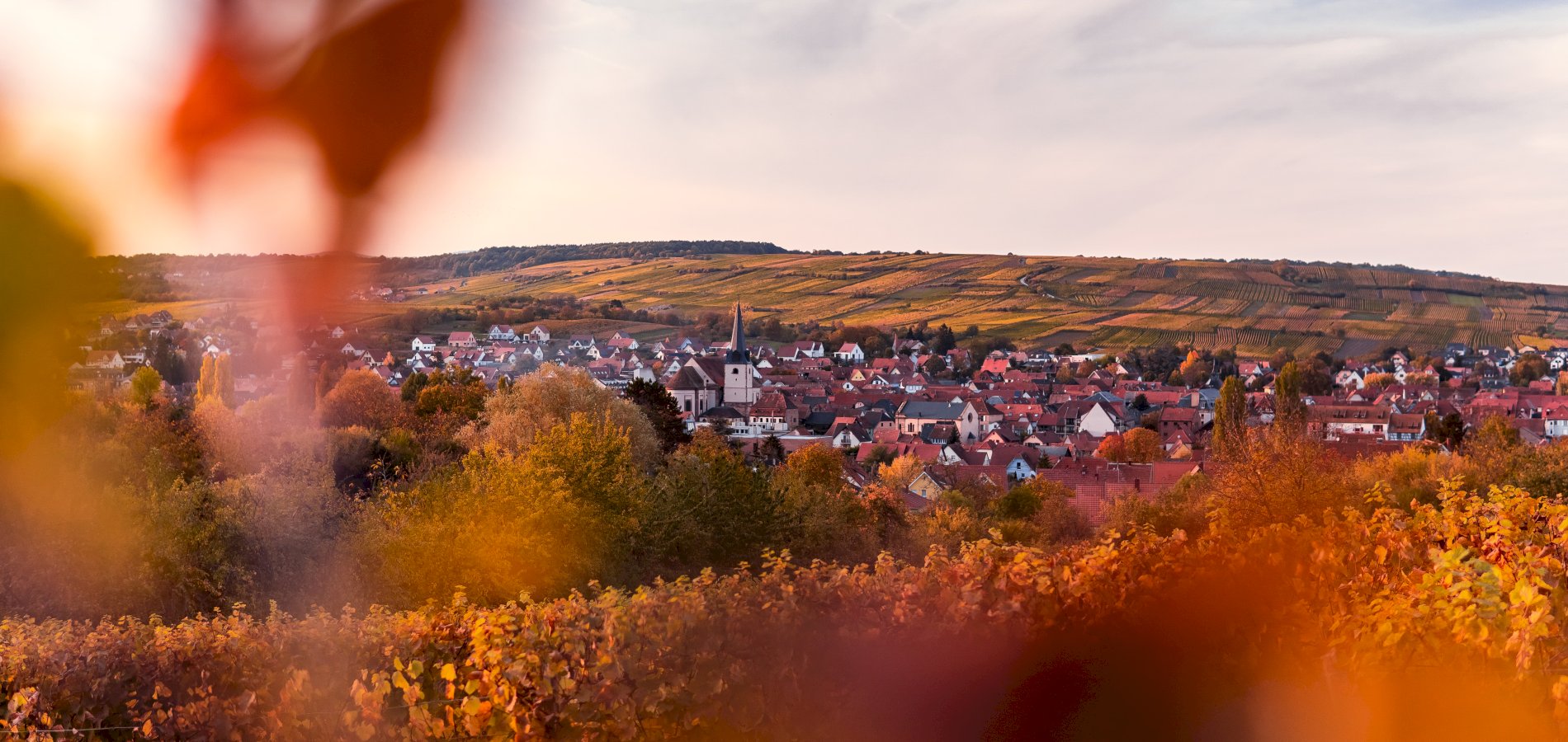 Ophorus Tours - Alsace Grand Crus: Private Wine Tour from Riquewihr