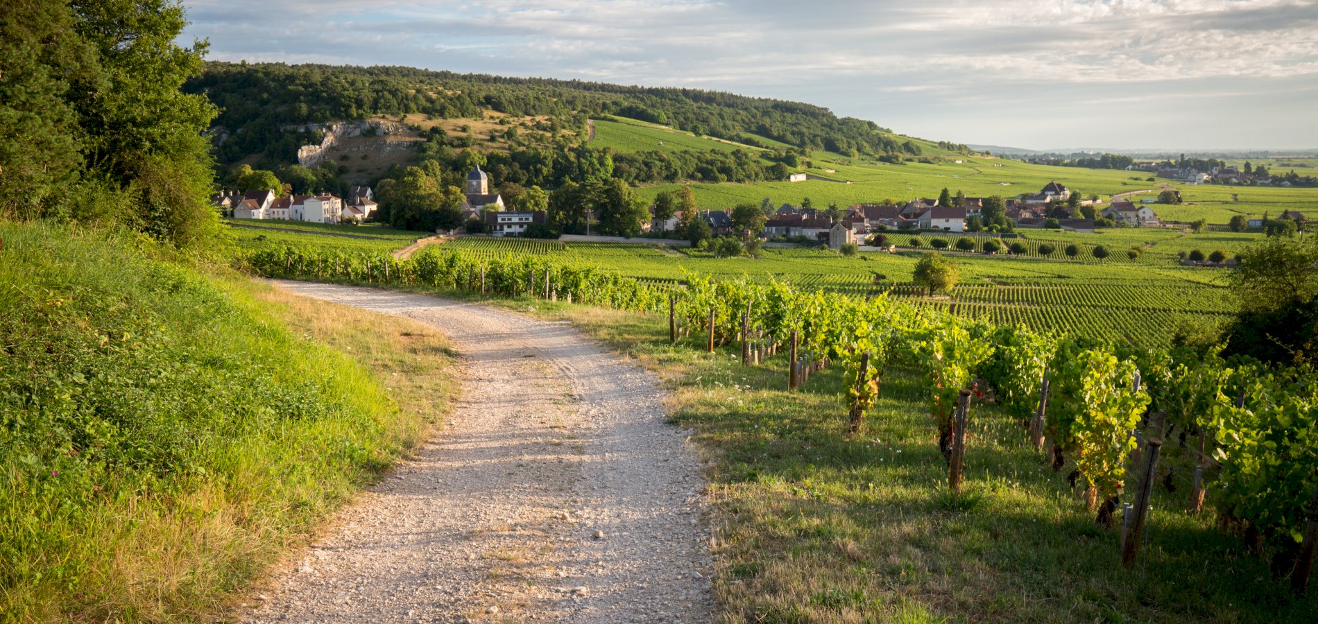 Ophorus Tours - 4-Day Private Burgundy Wine Tour Package - Dijon - 3* Hotel