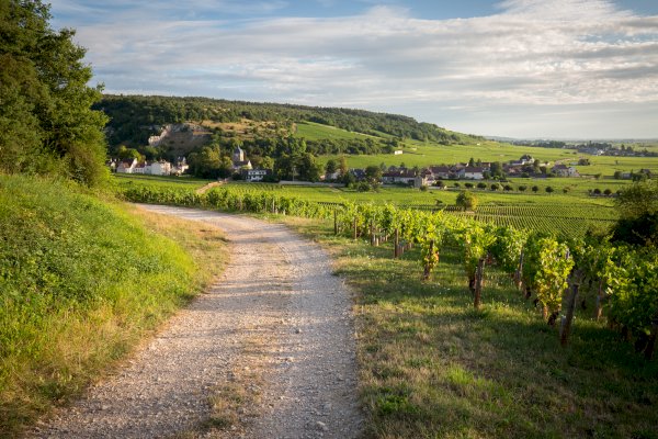 Ophorus Tours - 4-Day Private Burgundy Wine Tour Package - Dijon - 3* Hotel