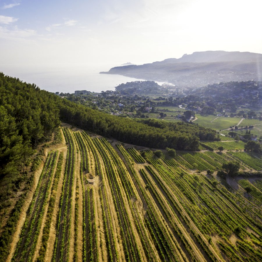 Ophorus Tours - Perfect Shore Trip: Provence Wine Tour from Marseille Cruise Port