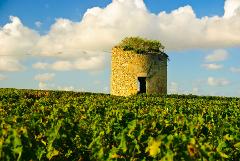 Ophorus Tours - 4-Day Private Bordeaux Wine Tour Packages - 4* Hotel