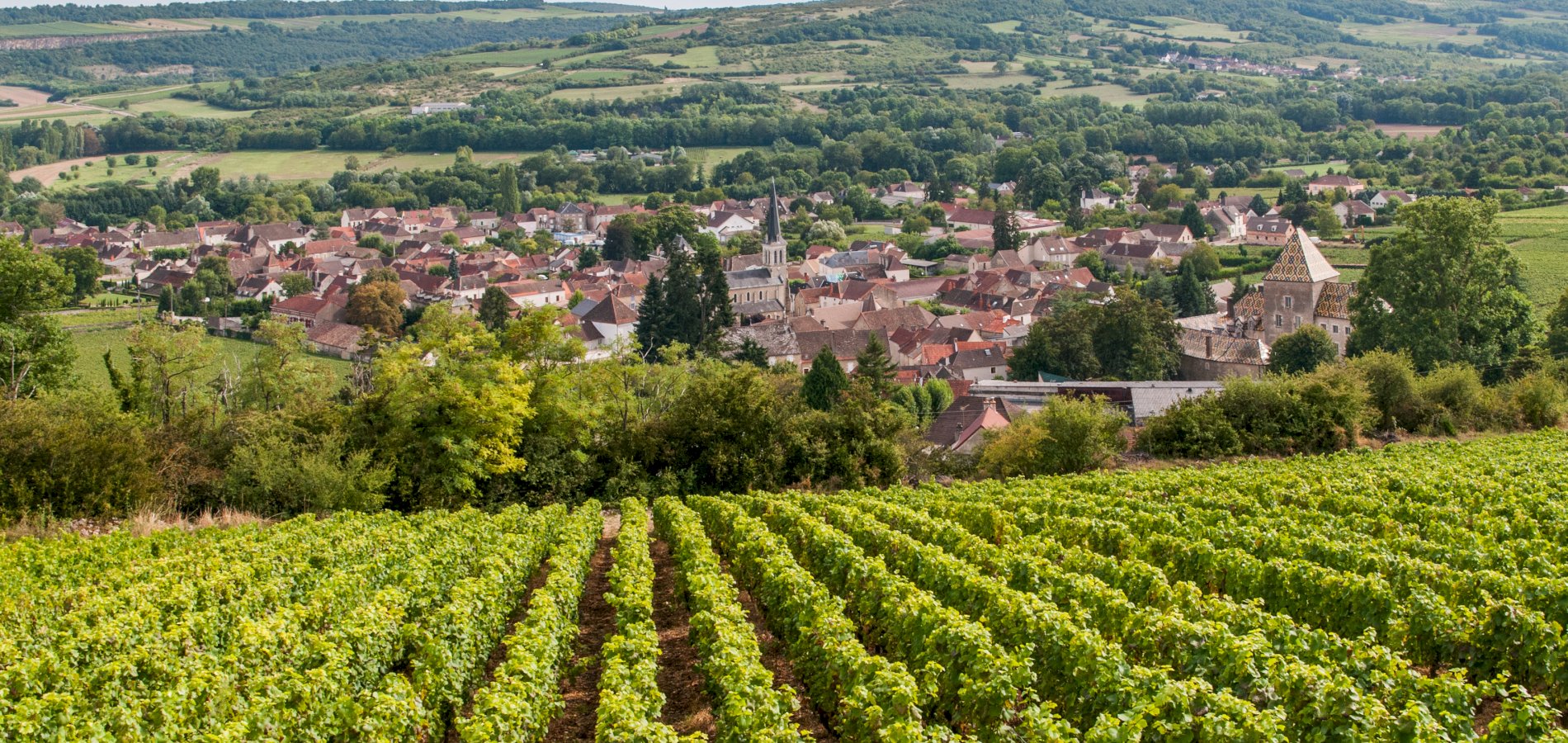 Ophorus Tours - 4-Day Small Group Burgundy Package - Dijon - 5* Hotel