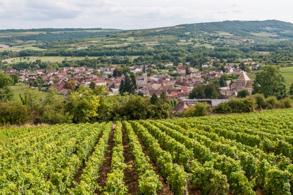 Ophorus Tours - 4-Day Small Group Burgundy Package - Dijon - 5* Hotel