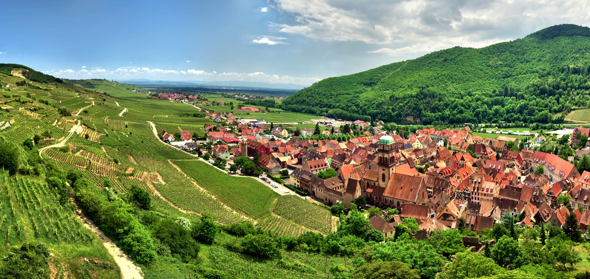 Ophorus Tours - 4-Day Small Group Alsace Packages - Colmar - 5* Hotel