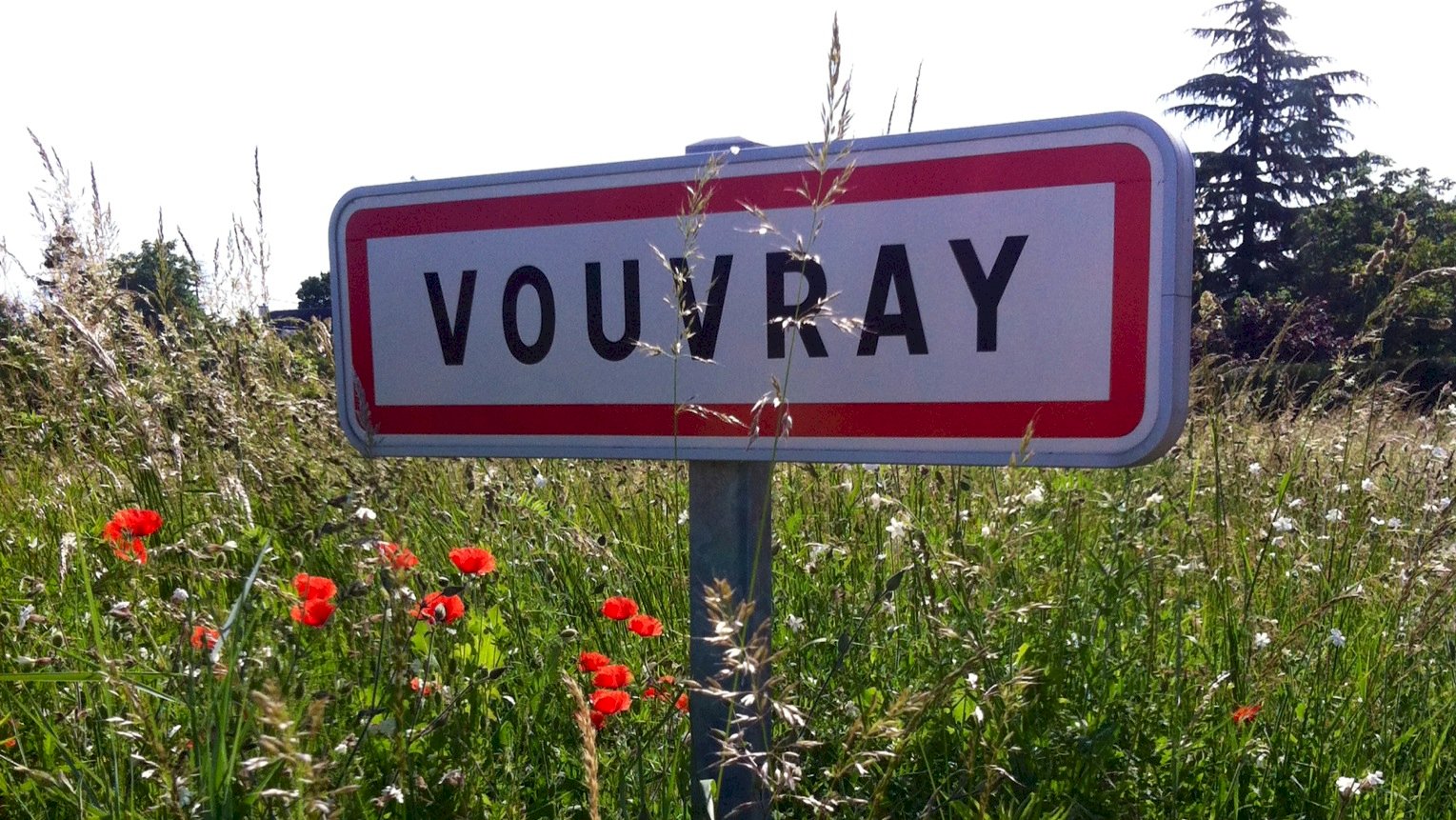 Ophorus Tours - Vouvray Vineyard & Tasting Tour – Private Half-Day from Tours