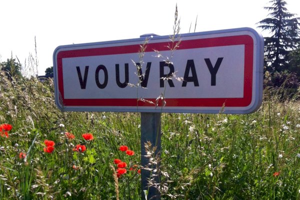 Ophorus Tours - Vouvray Vineyard & Tasting Tour – Private Half-Day from Tours