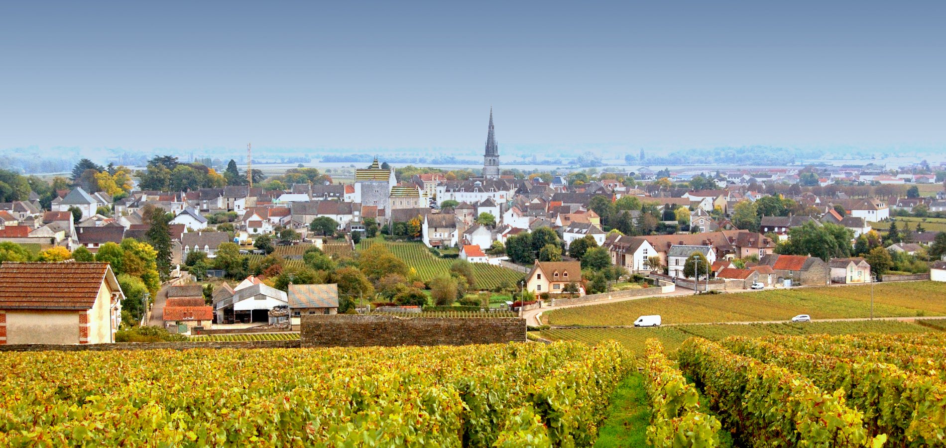 Ophorus Tours - A Private Burgundy Wine Tour From Dijon to Côte De Nuits for 2 persons