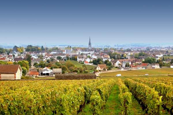 Ophorus Tours - A Private Burgundy Wine Tour From Dijon to Côte De Nuits for 2 persons