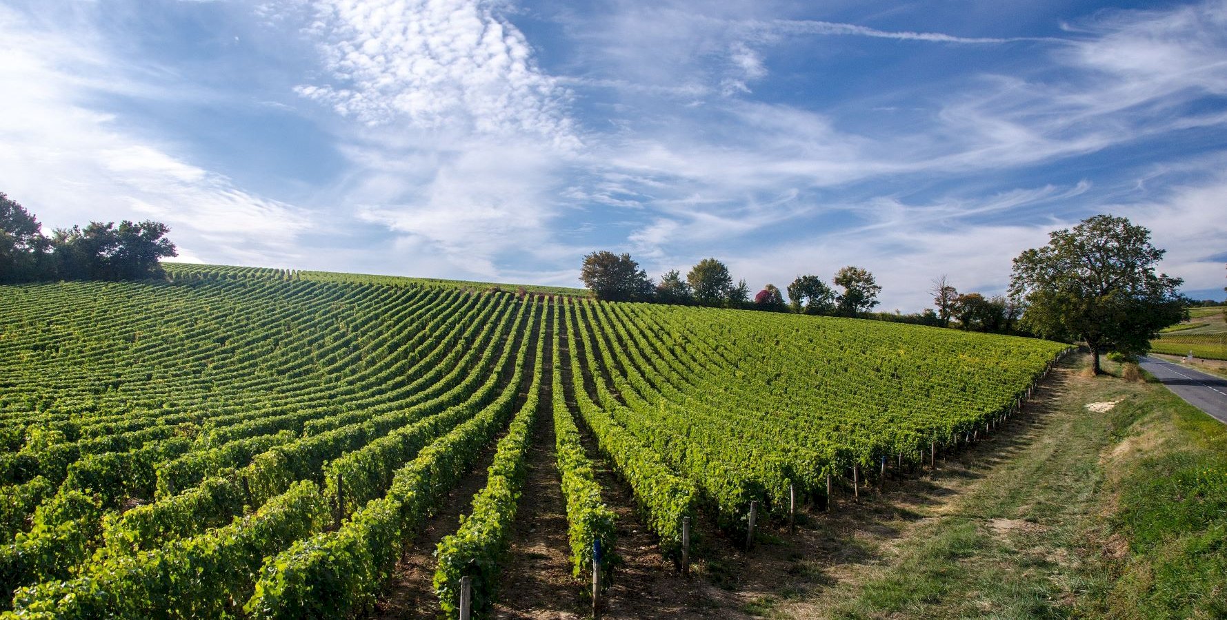 Ophorus Tours - Private Loire Valley Wine Experience – Vouvray Half-Day Tour for 2