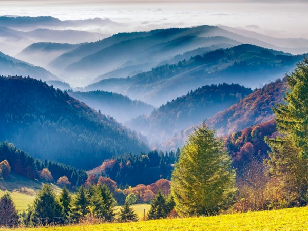 black forest day trip from freiburg