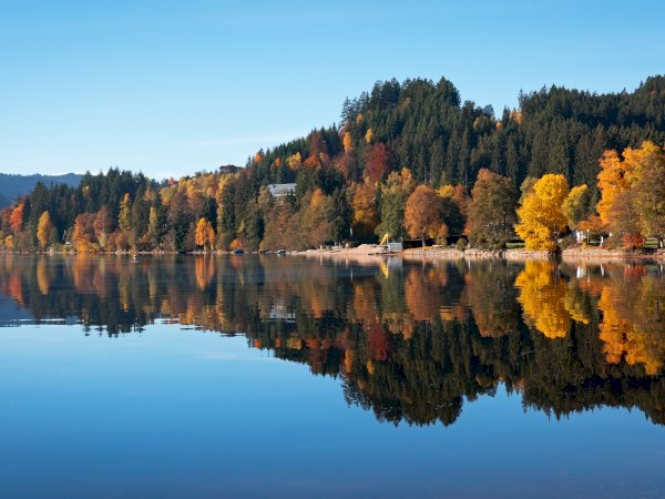 black forest day trip from freiburg