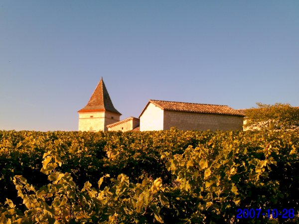 gaillac wine tour