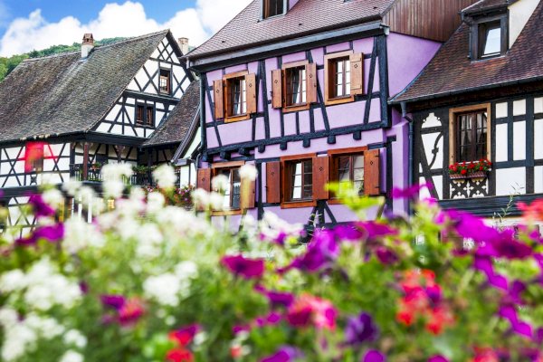Ophorus Tours - Authentic Alsace Villages tour : A half-day Cultural Experience from Colmar