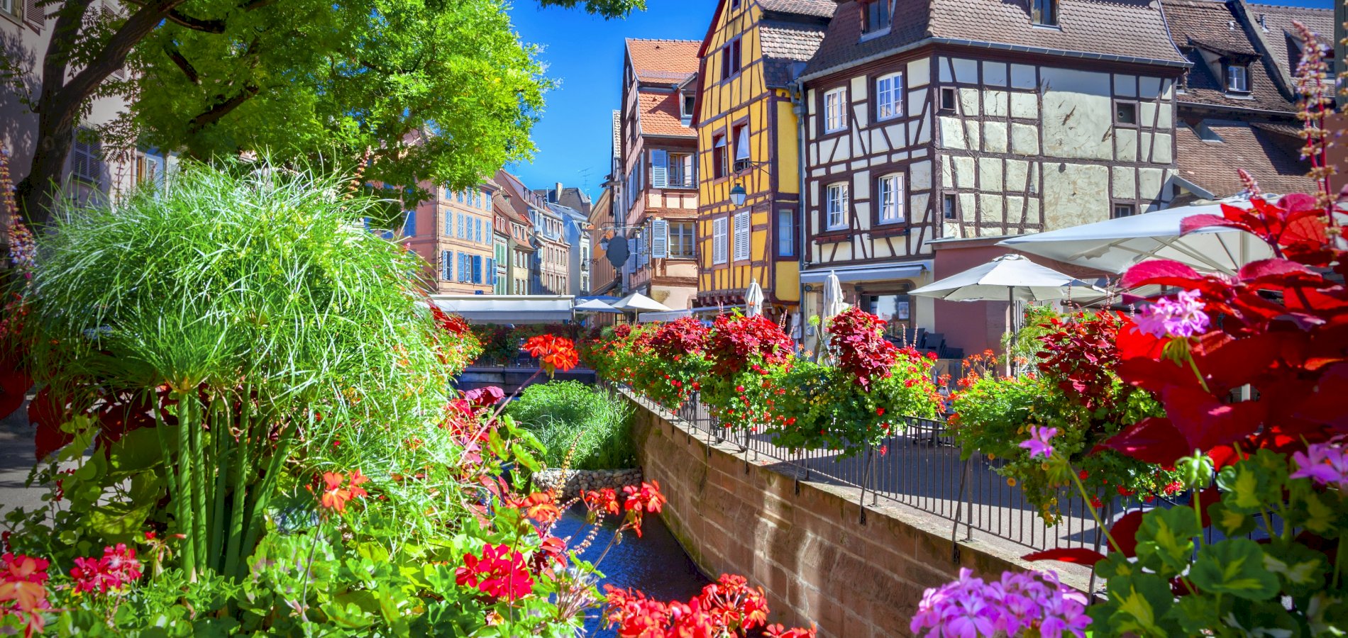 Ophorus Tours - Explore Colmar's Magic: Private Transfer Strasbourg - Colmar