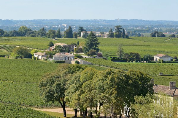 Saint-Emilion : Village, Châteaux and wine tasting - Olala Bordeaux