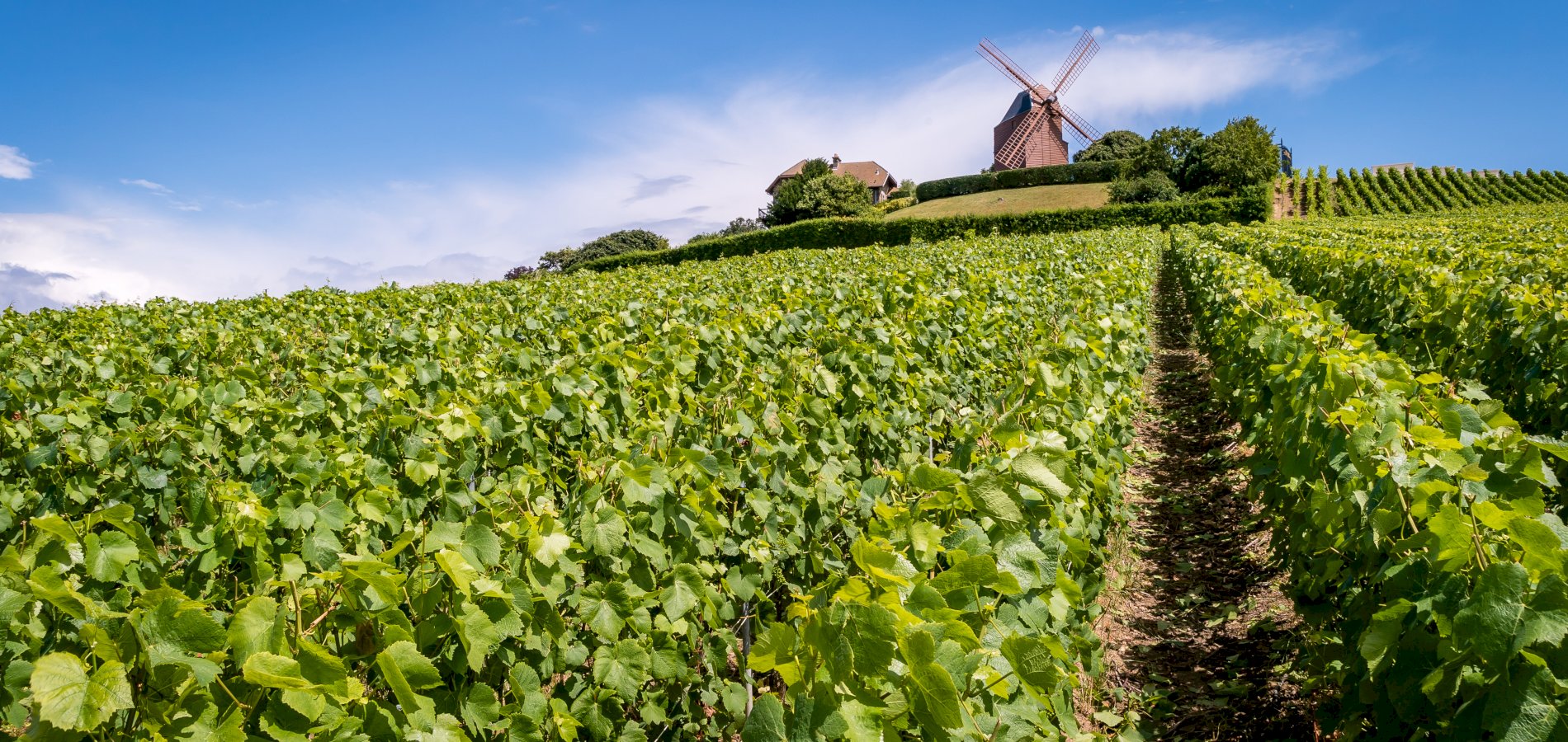 Why Veuve Clicquot is the best champagne tour in Reims (and how to
