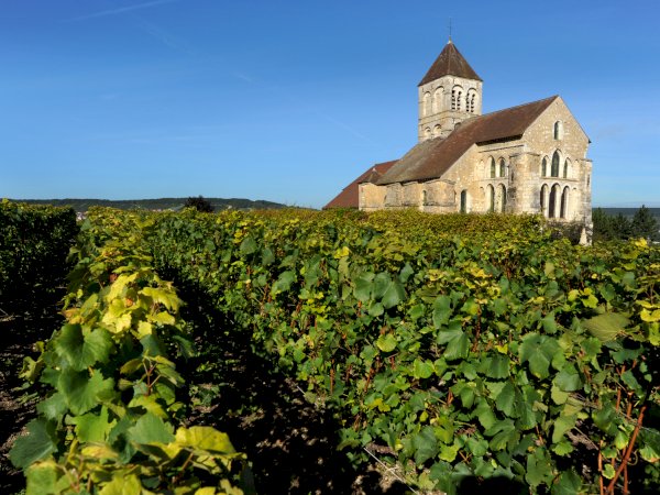 half day champagne tour reims