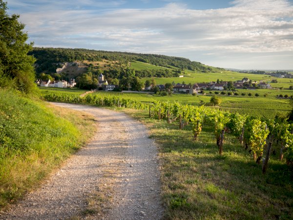 Côte De Beaune Burgundy Wine Tour Private Day Trip From Beaune