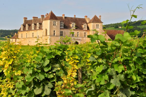 Ophorus Tours - Côte de Nuits & Côte de Beaune: Private Wine Tour from Dijon