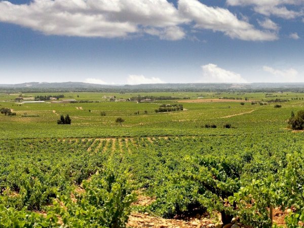 Chateauneuf Du Pape Small Group Wine Tour From Aix En Provence