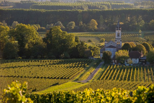 Saint-Emilion : Village, Châteaux and wine tasting - Olala Bordeaux