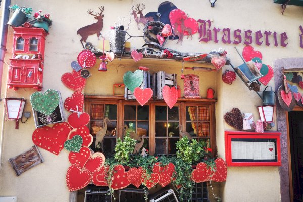 Ophorus Tours - Medieval Villages & Wine: Alsace Highlights Private Tour by train from Paris